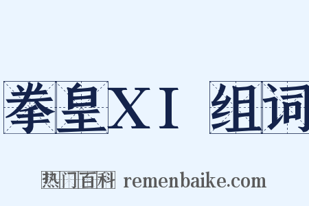 拳皇XI组词是什么意思的图片